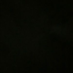 Meet your Posher, Elexus